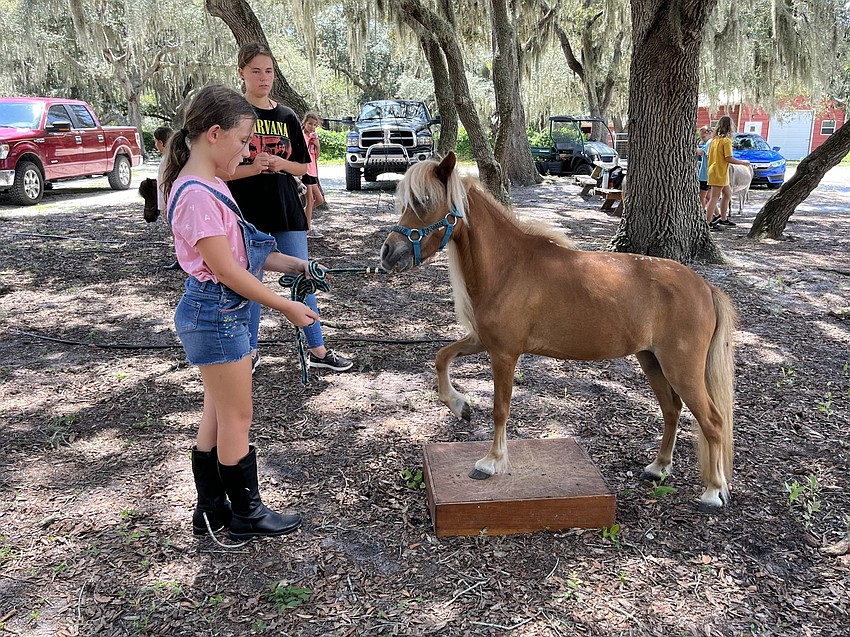 Lexi Truxton, who is 8, gets Summer to hit the box by saying, 