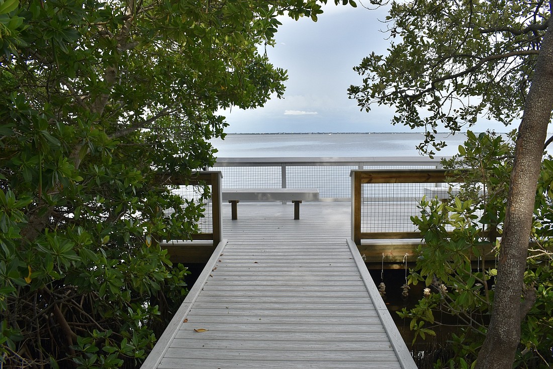 The mangroves open up along the boardwalk to offer waterfront views. (Photo by Lesley Dwyer)