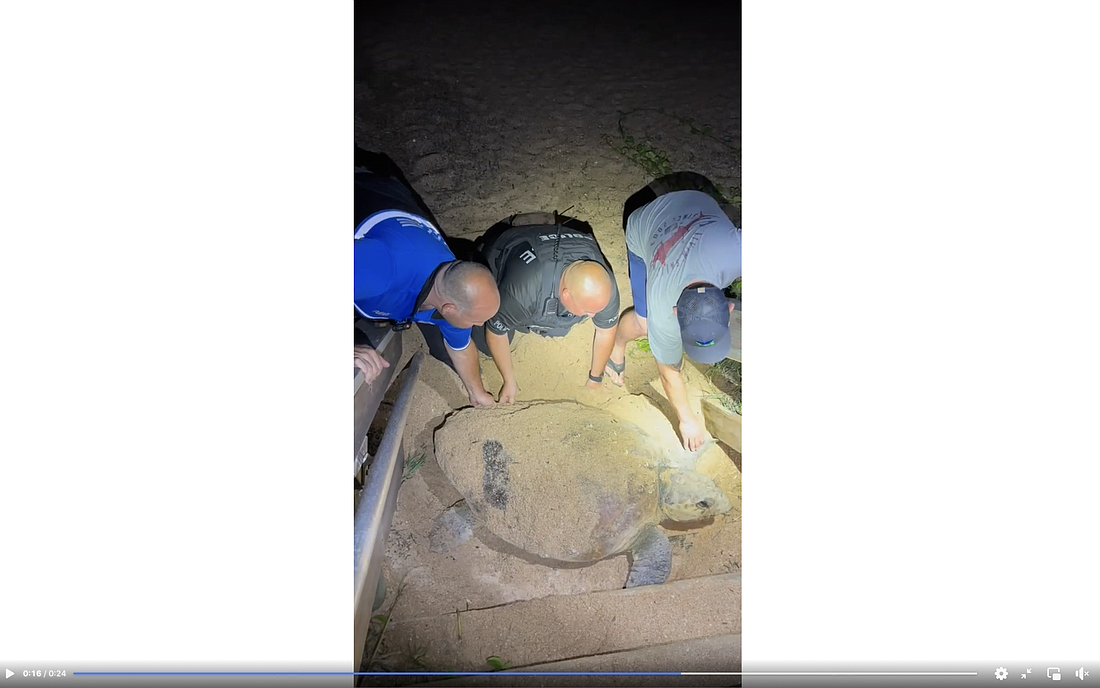 Image from a video on the official Flagler Beach Police Department Facebook page