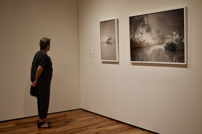 Lois Lowsky looks at photographs that were taken in a diorama.