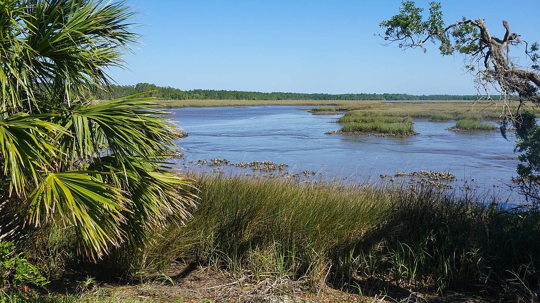 Nearly 350 acres overlooking Pumpkin Creek in North Jacksonville is being added to the Timucuan Ecological and Historic Preserve.