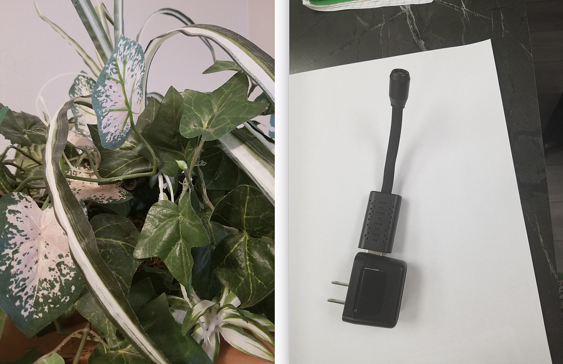The camera hidden in the houseplant. Photos courtesy of the FCSO