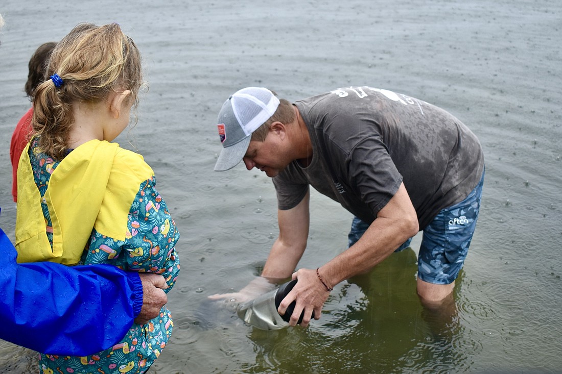 CCA Executive Director Brian Gorski releases some of the trout into Sarasota Bay. (Photo by Lesley Dwyer)