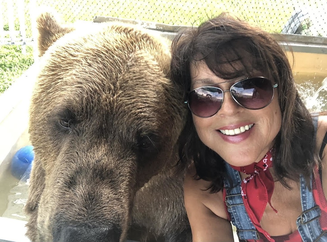 Bruno the Bear is doing well in the America&#39;s Favorite Pet Contest for owner Monica Welde of Myakka City. (Courtesy photo)