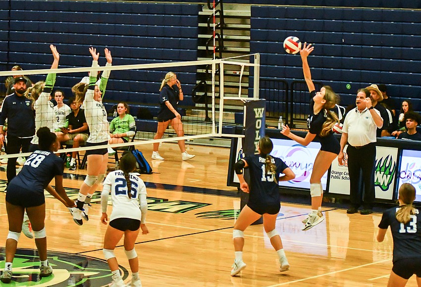 PHOTOS Dr. Phillips girls volleyball team falls to Windermere 30