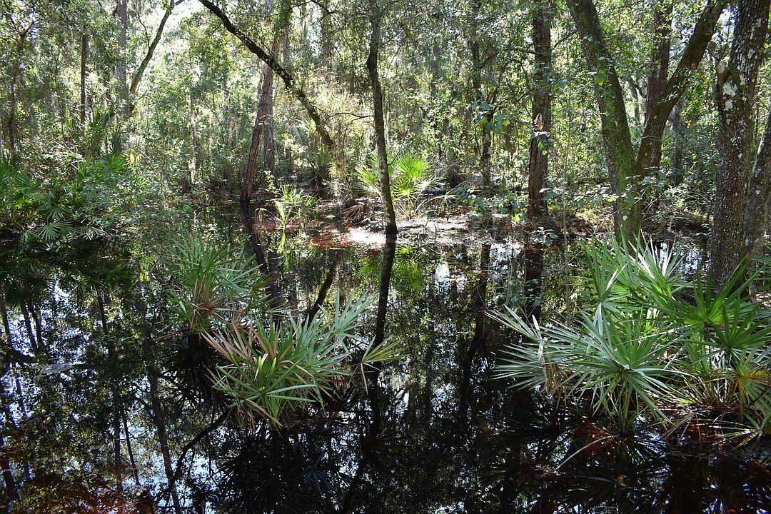 County committee to land for acquisition, conservation Your