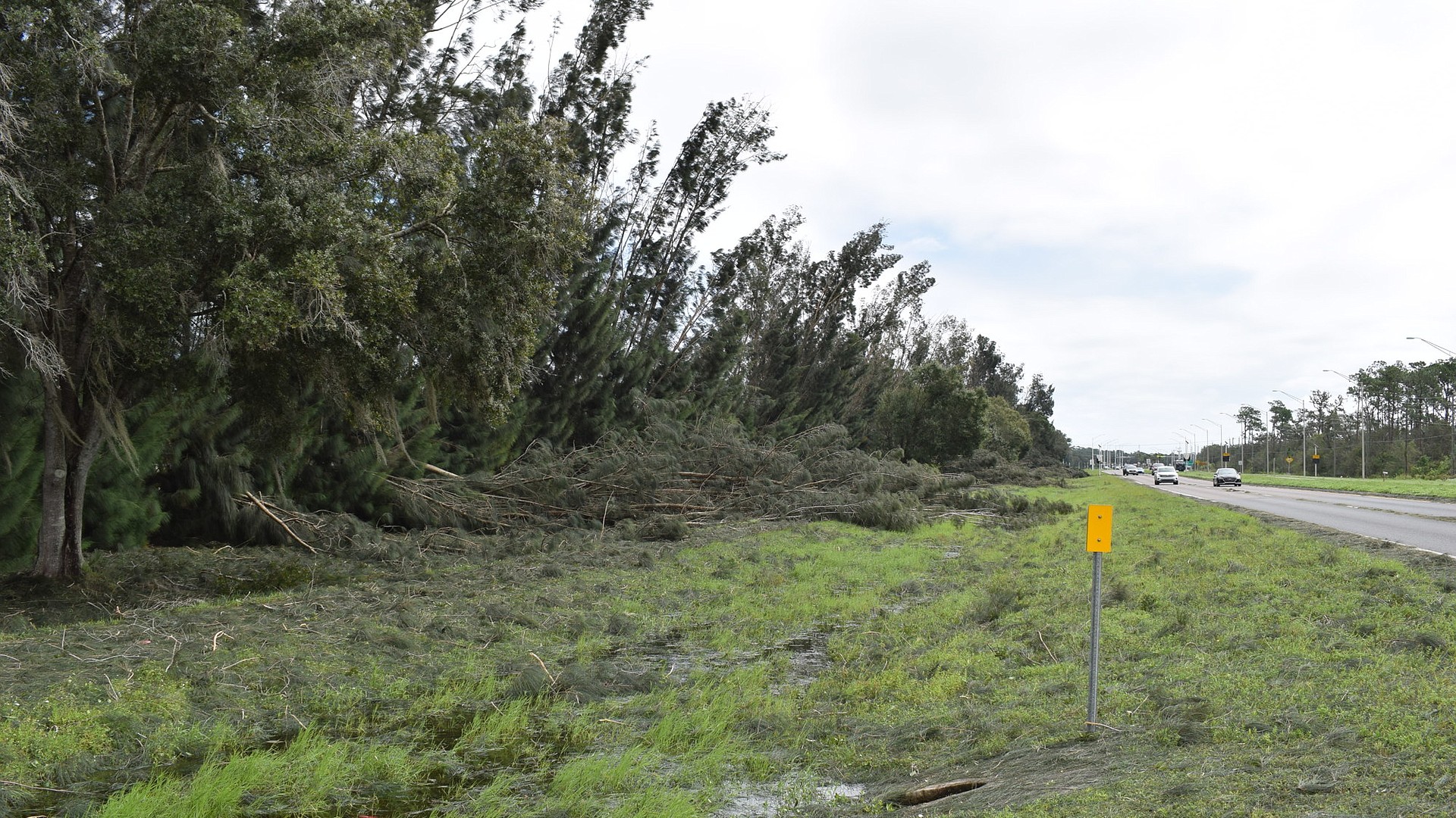 Lakewood Ranch area digs out after Hurricane Ian Your Observer