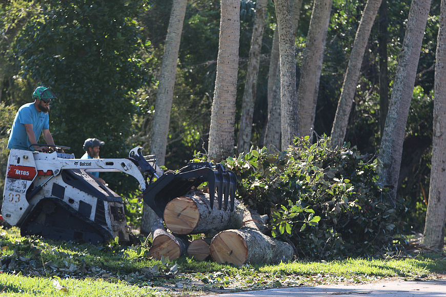 Tree Life Florida clears downed trees off a home on North Beach Street after Hurricane Ian. Photo by Jarleene Almenas