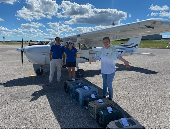Owners of private aircraft have allowed Humane Society of Sarasota County to use the planes to transport pets displaced by Hurricane Ian. (Courtesy photo)