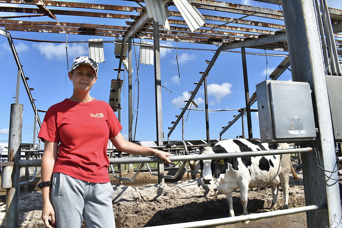 Tour manager Courtney Dakin stands in front of the framework of one of the barns that was damaged by Hurricane Ian. (Photo by Ian Swaby)
