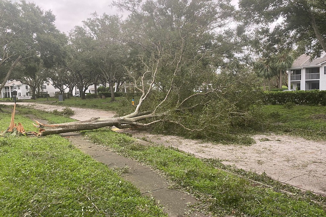 Sarasota begins storm debris collection Wednesday | Your Observer