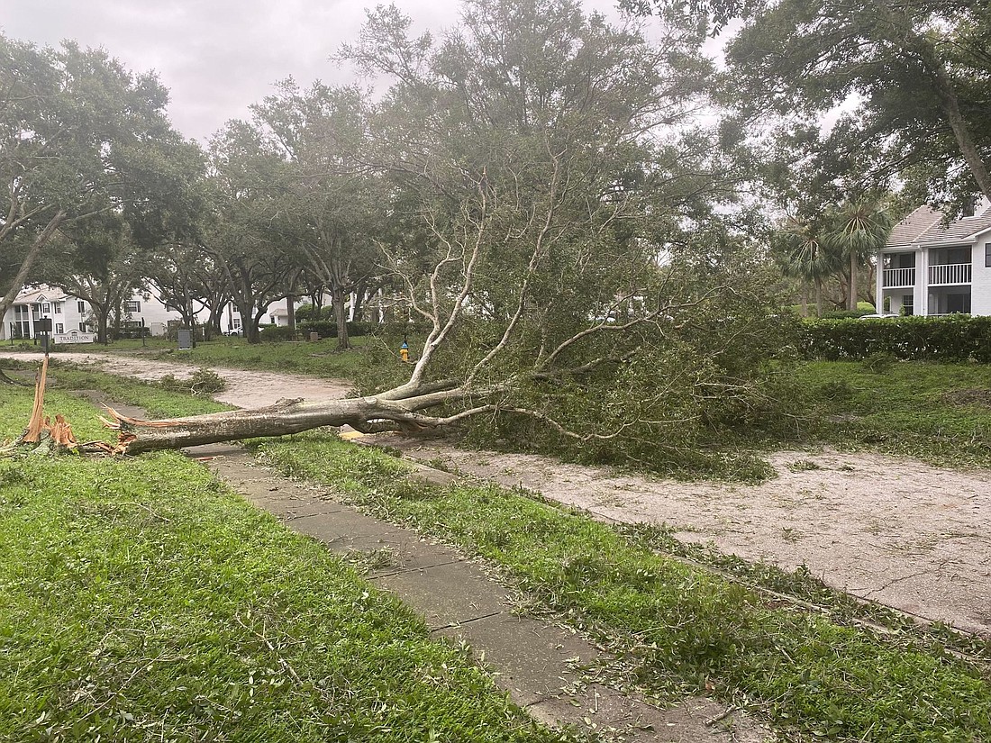 The amount of storm debris is being estimated to double that of Hurricane Irma, and will take several months to complete. (Photo by Spencer Fordin)