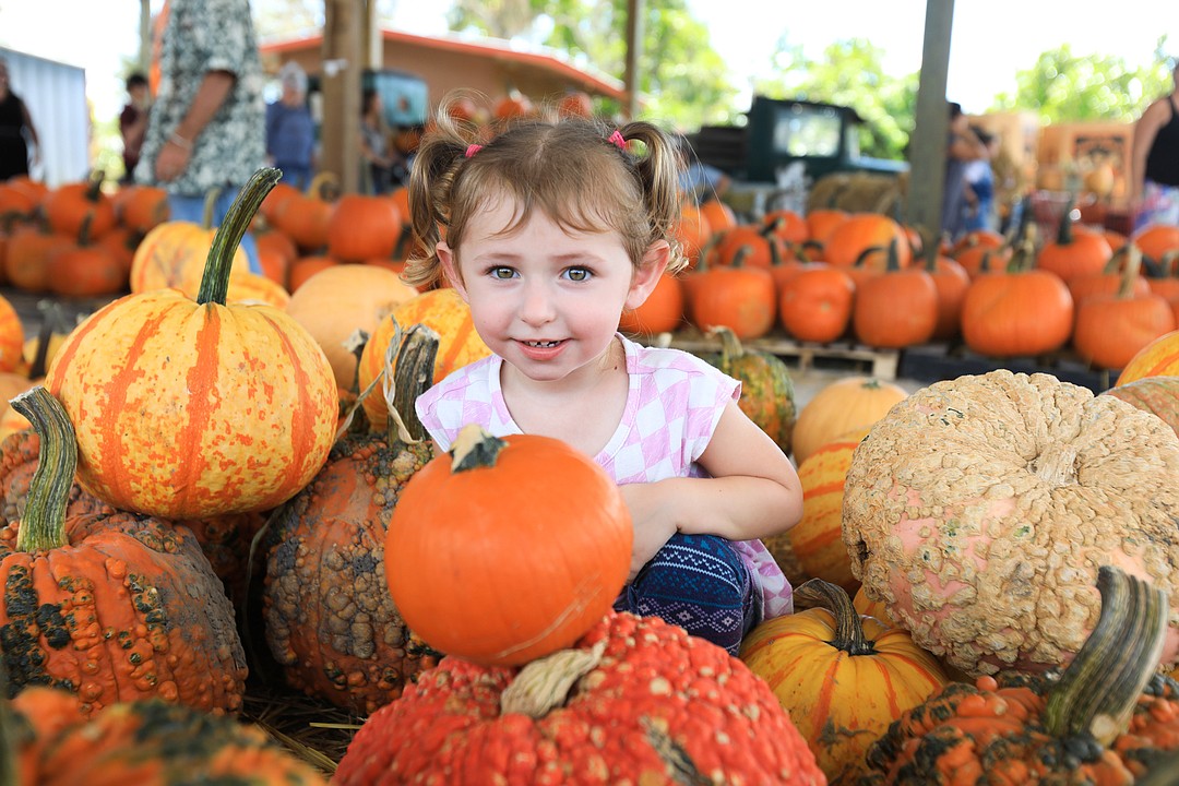 Families flock to Fruitville Grove Pumpkin Festival Your Observer