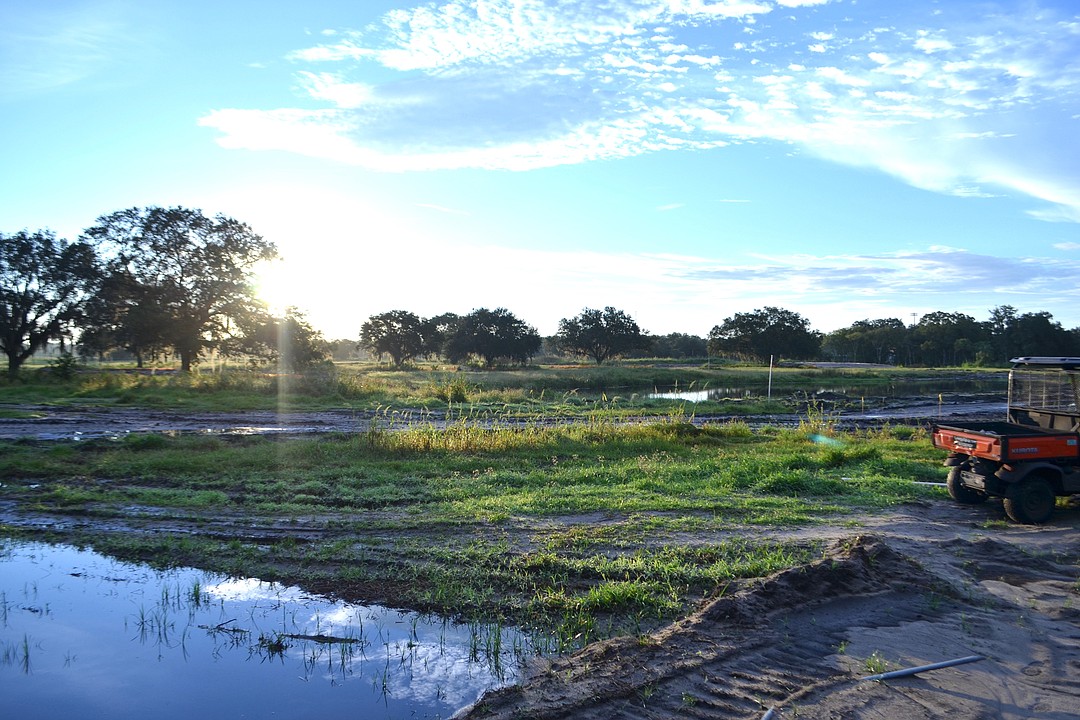 Revamped Bob Jones Golf Club and Nature Park to help keep Sarasota waters  cleaner