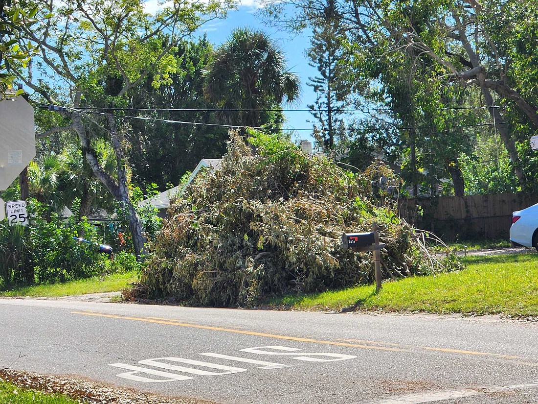 The city of Sarasota has collected 65% of Hurricane Ian vegetative debris as of Wednesday. Collection of storm-related construction and demolition debris, which includes fencing materials, begins Monday. (Photo by Andrew Warfield)