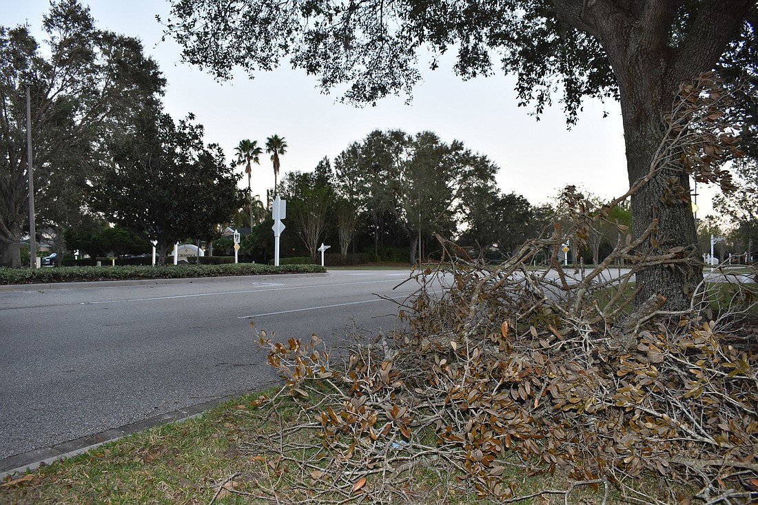 Debris await collection along Greenbrook Boulevard. (Photo by Ian Swaby