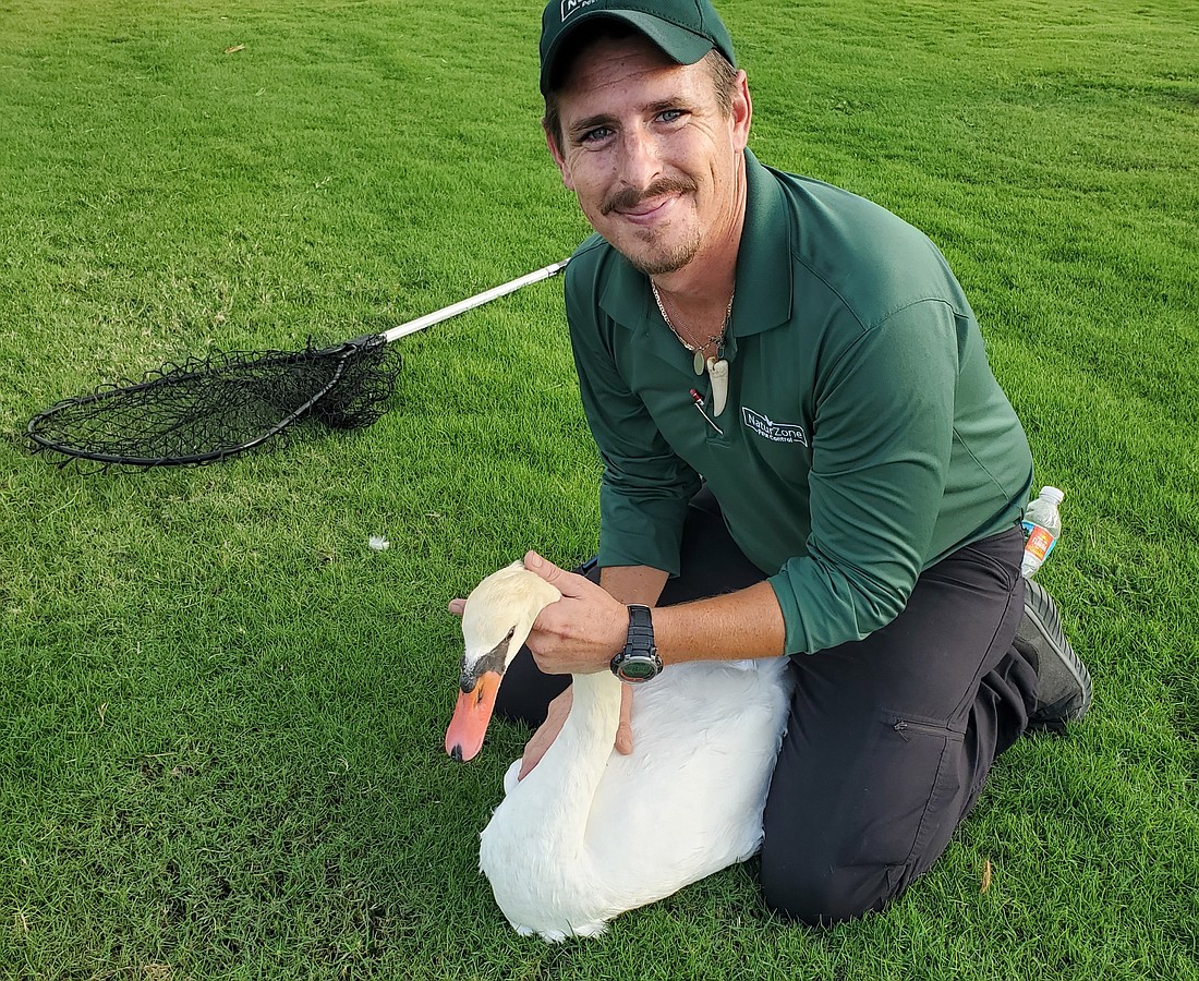 Within six months, while on the job for NaturZone Pest Control, Byrne rescued three swans, two sea turtles and a burrowing owl.