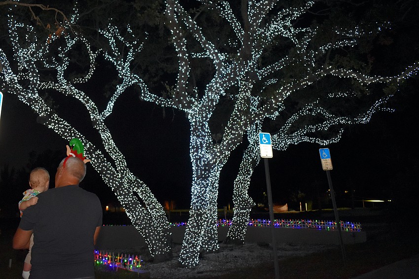 The Christmas tree is lit in the Town Center Green.