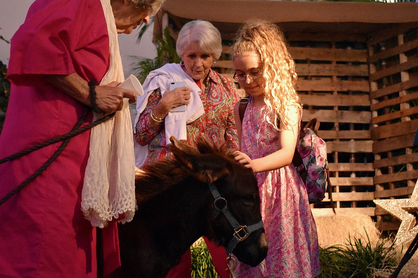 Deborah Finger looks on as her granddaughter Isla Collins pets a donkey.