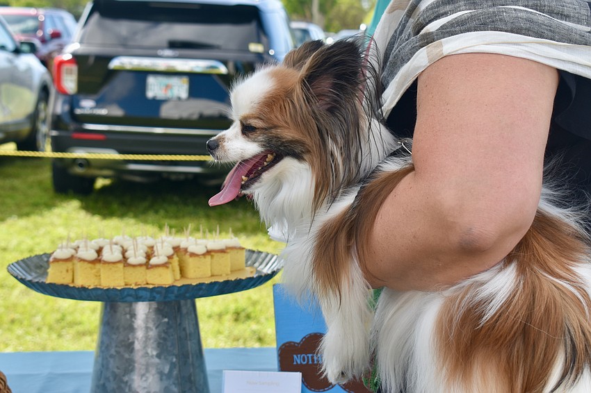 No dog food vendors, but it didn't stop a few from attending the Lawn Party anyway.