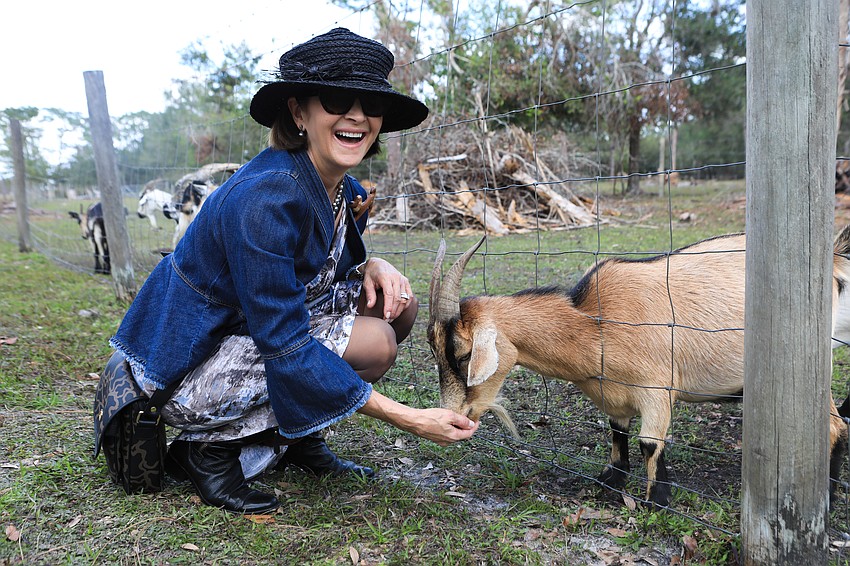 Karla Lewis feeds a nearby goat. The goat was later freed from the fence.
