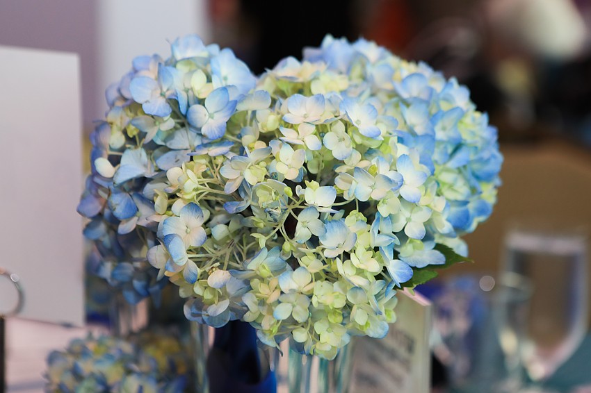 Hundreds of guests attended the event.