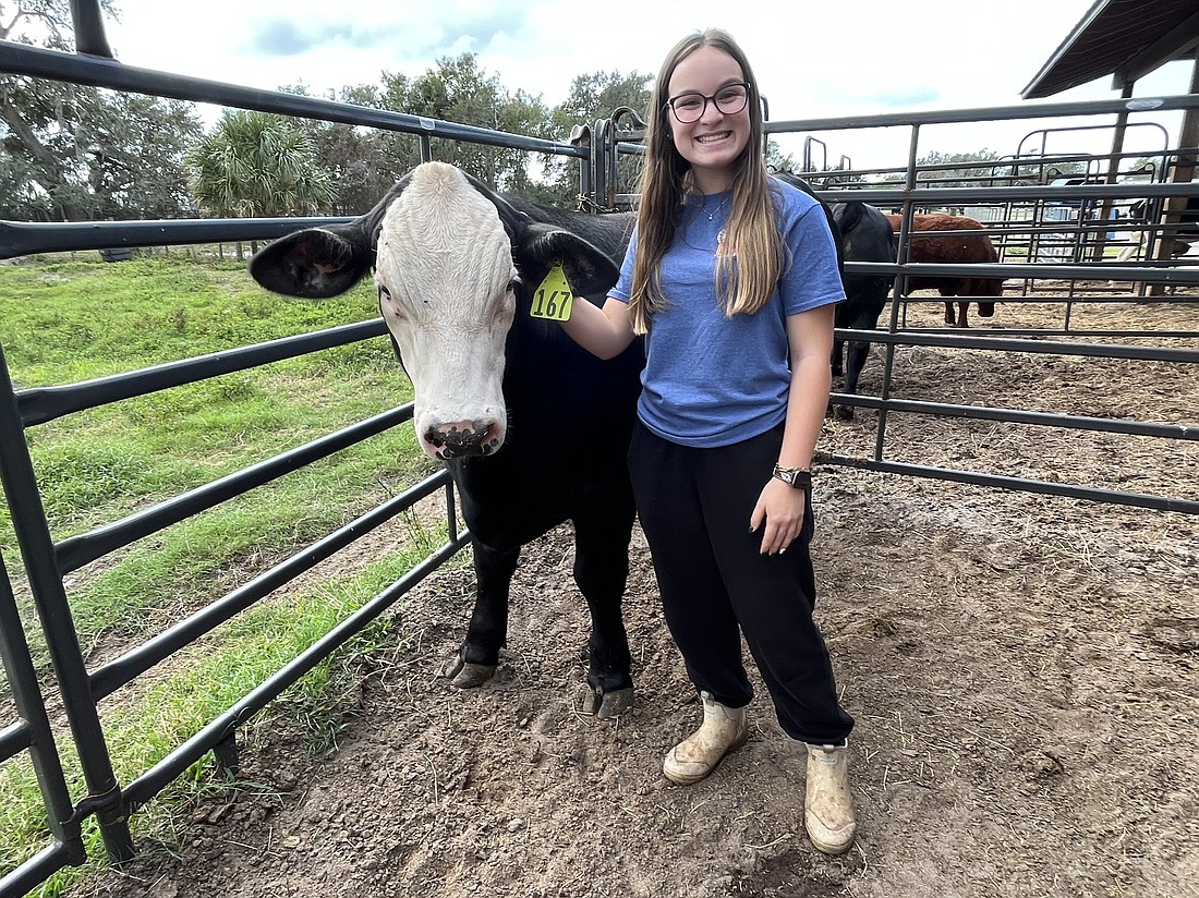 Lourdes Capote-Dishaw, a Braden River High School junior, will continue to work with Bobbert during winter break to prepare for the Manatee County Fair.
