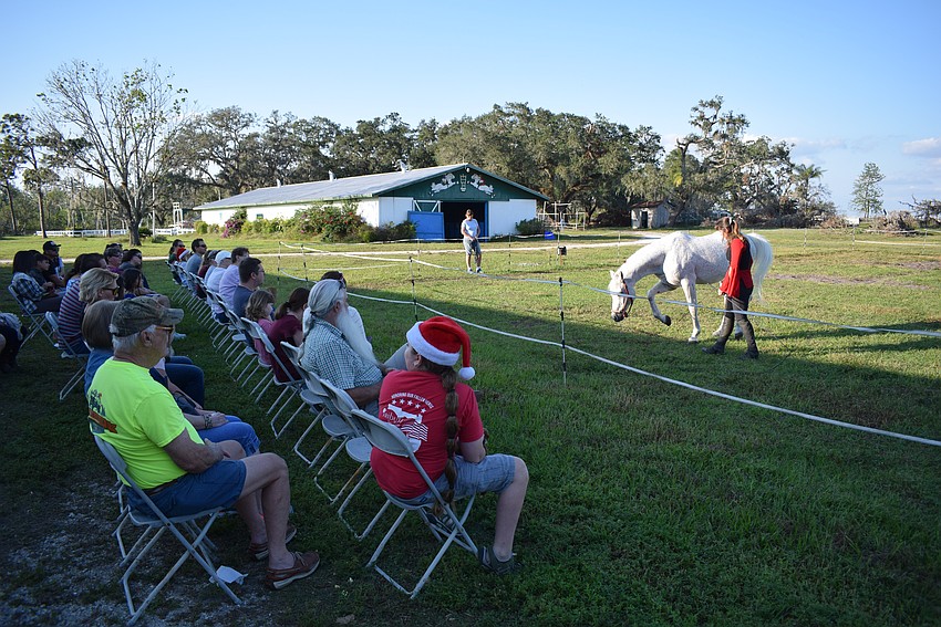 The crowd watches a special show during a Christmas event at Herrmann's Royal Lipizzan Stallions in Myakka City on Saturday. The event continues Sunday from 3-6 p.m.
