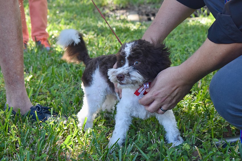 First blessing for 20-week-old Paco
