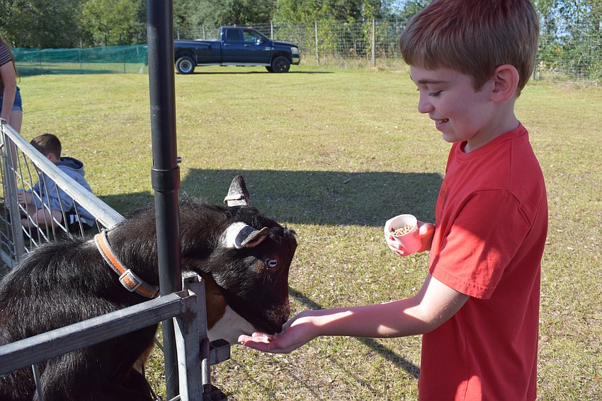 Riverview's Lucas Day, 9, enjoys feeding a goat in the petting zoo at A Country Bear Christmas.