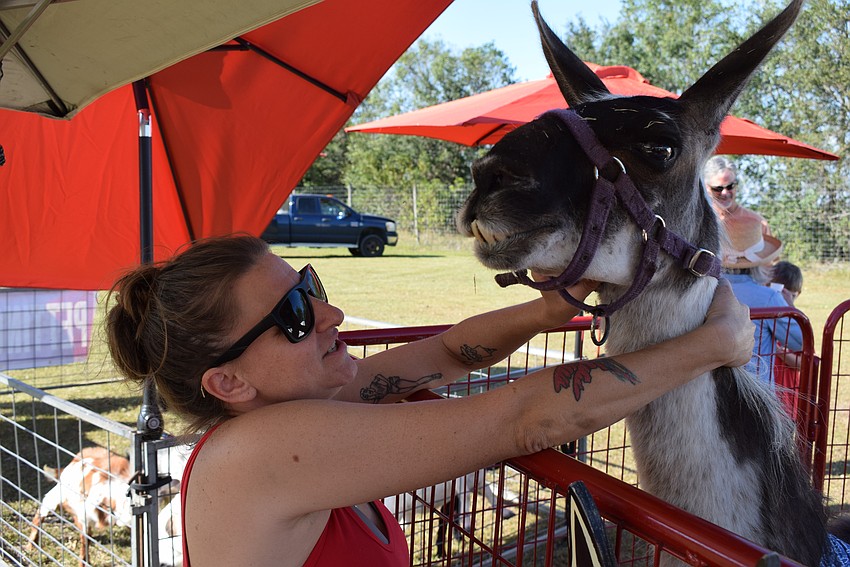 Myakka's Desi Fritz of Lucy's Llamas says that Annie, a guanaco who is certified as a therapy animal, is her favorite among all the Lucy's Llamas animals. Fritz brought a variety of animals to Bearadise Ranch for a petting zoo.