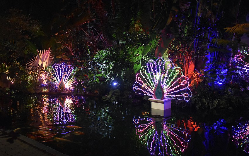 Selby Garden presents over 2 million lights within the garden.