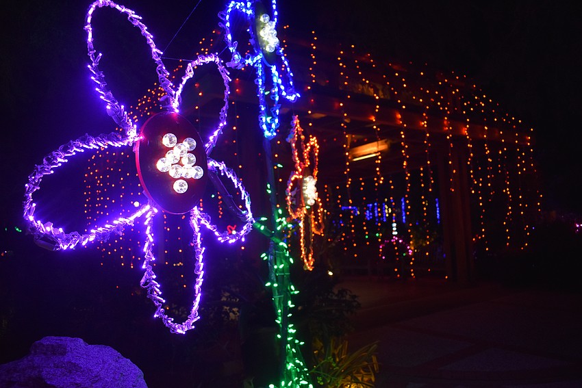 Selby Garden presents over 2 million lights within the garden.