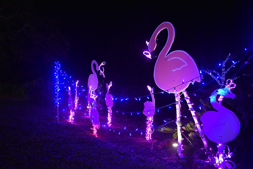 Selby Garden presents over 2 million lights within the garden.