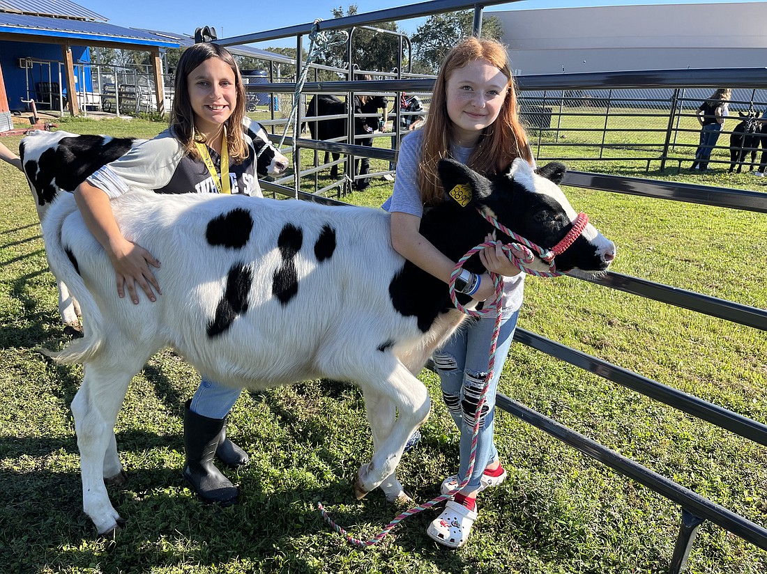 Victoria Staszak and Ashlyn Meyers are grateful to Cameron Dakin Dairy for allowing them to show Josie at the Manatee County Fair.