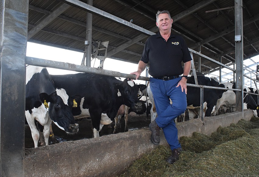 Your Observer Photo Jerry Dakin, the owner of Dakin Dairy, says