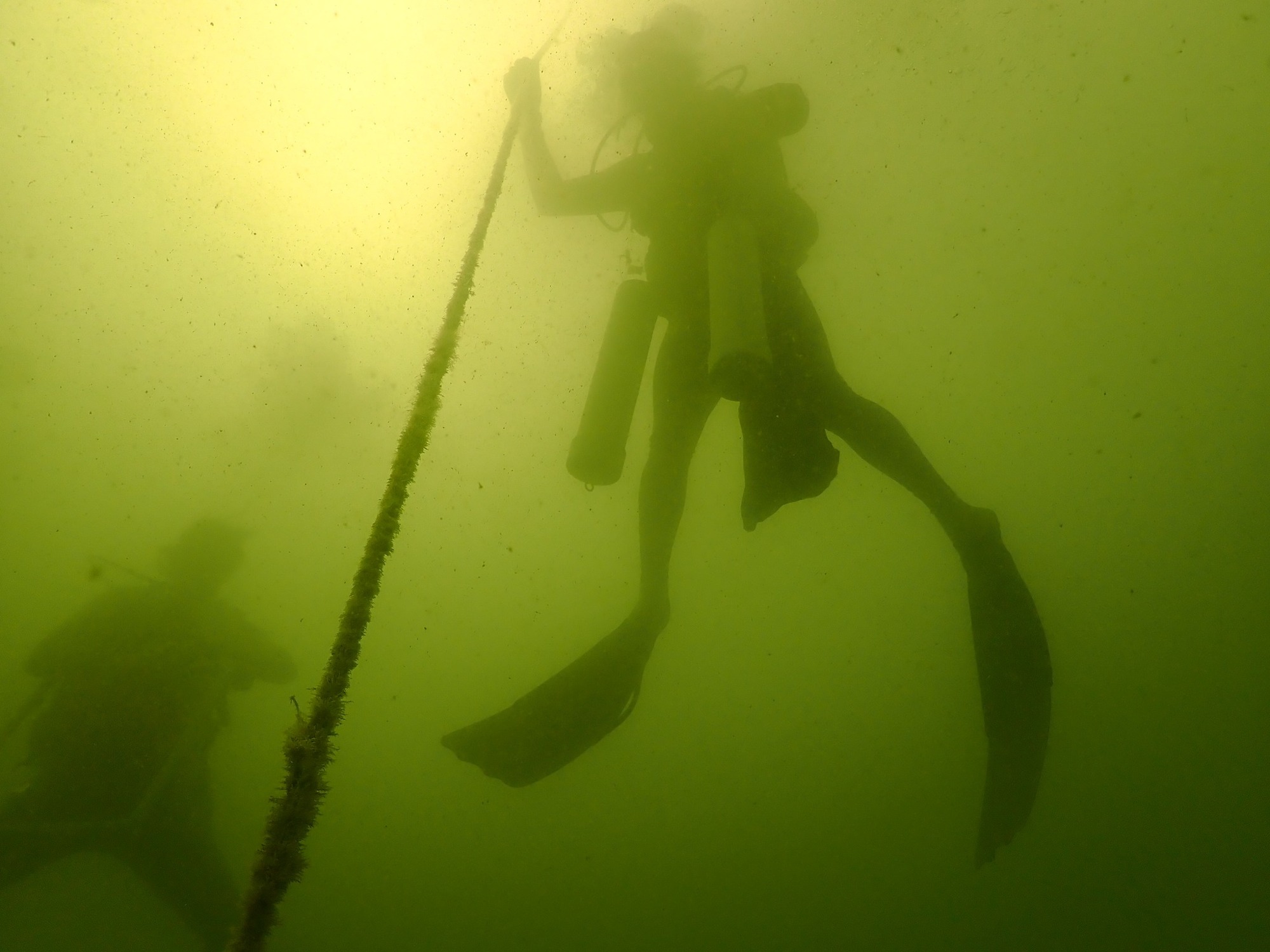 A team member ascending the buoy line. Silt, algae, and tannins in the water gave it this color. (Courtesy photo by James Douglass).