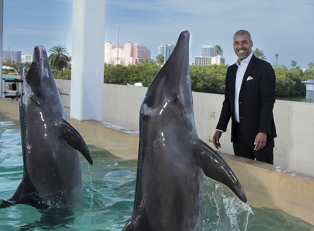 Joe Handy is the new CEO of Clearwater Marine Aquarium. (Photo by Mark Wemple)