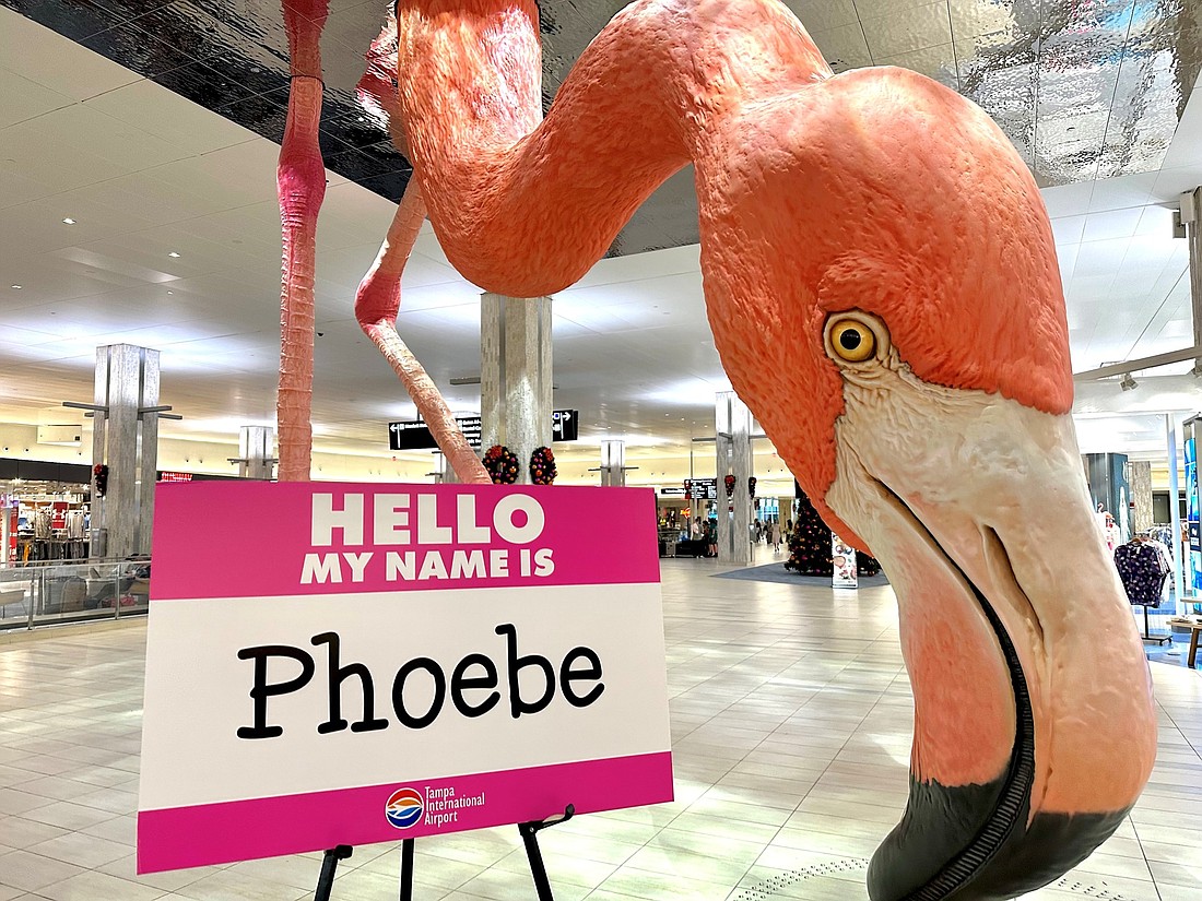 As a result of a public vote held in December, the flamingo featured in Matthew Mazzotta&#39;s "Home" sculpture at Tampa International Airport has been named Phoebe. (Courtesy photo)