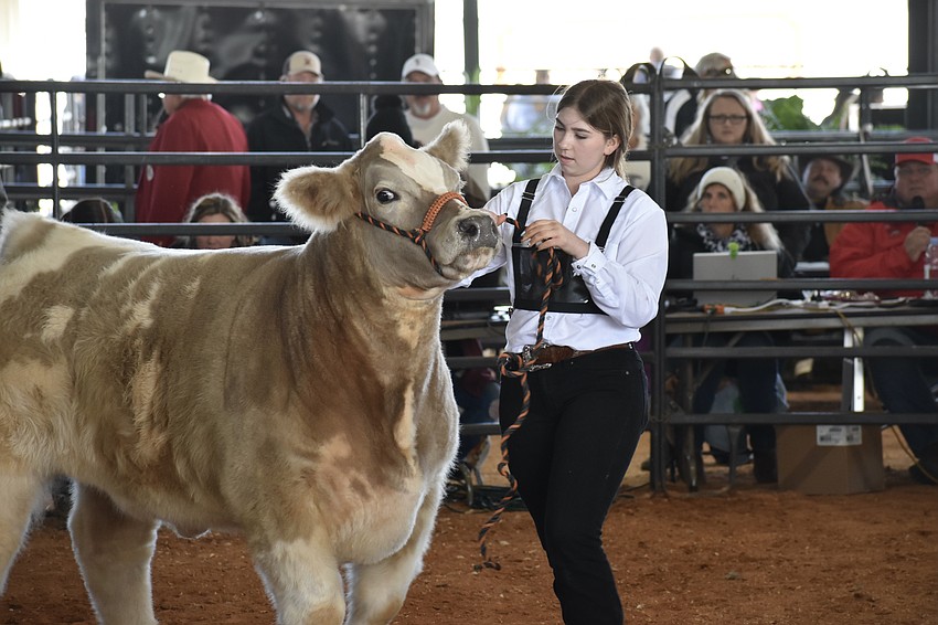 Hunter McGrath, an eighth grade student at Mona Jain Middle School, shows Big Mac to the crowd during the auction.