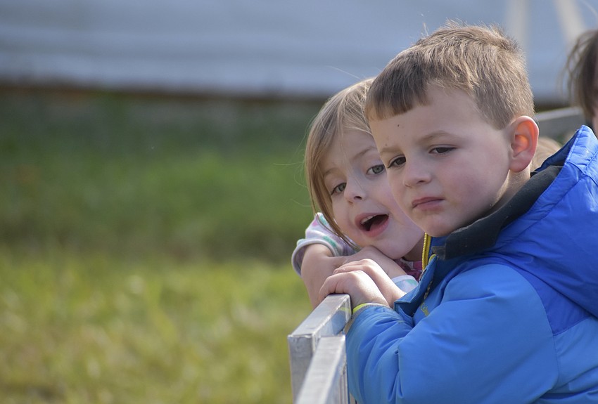 Bradenton 4-year-old Eliza Gore and 3-year-old Colson Wynot watch the Hollywood Racing Pigs.