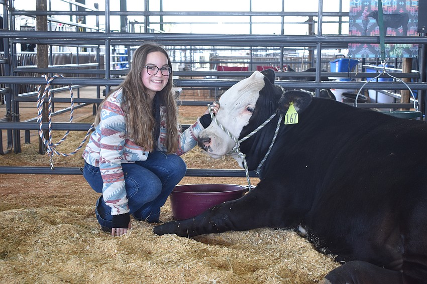 Lourdes Capote-Dishaw, a Braden River High School junior, tries to keep Bobbert calm before the auction.