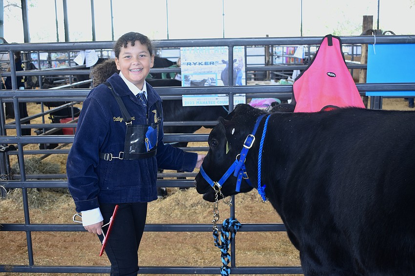Nolan Middle School seventh grader Sylvie Theis prepares Colt for the auction.