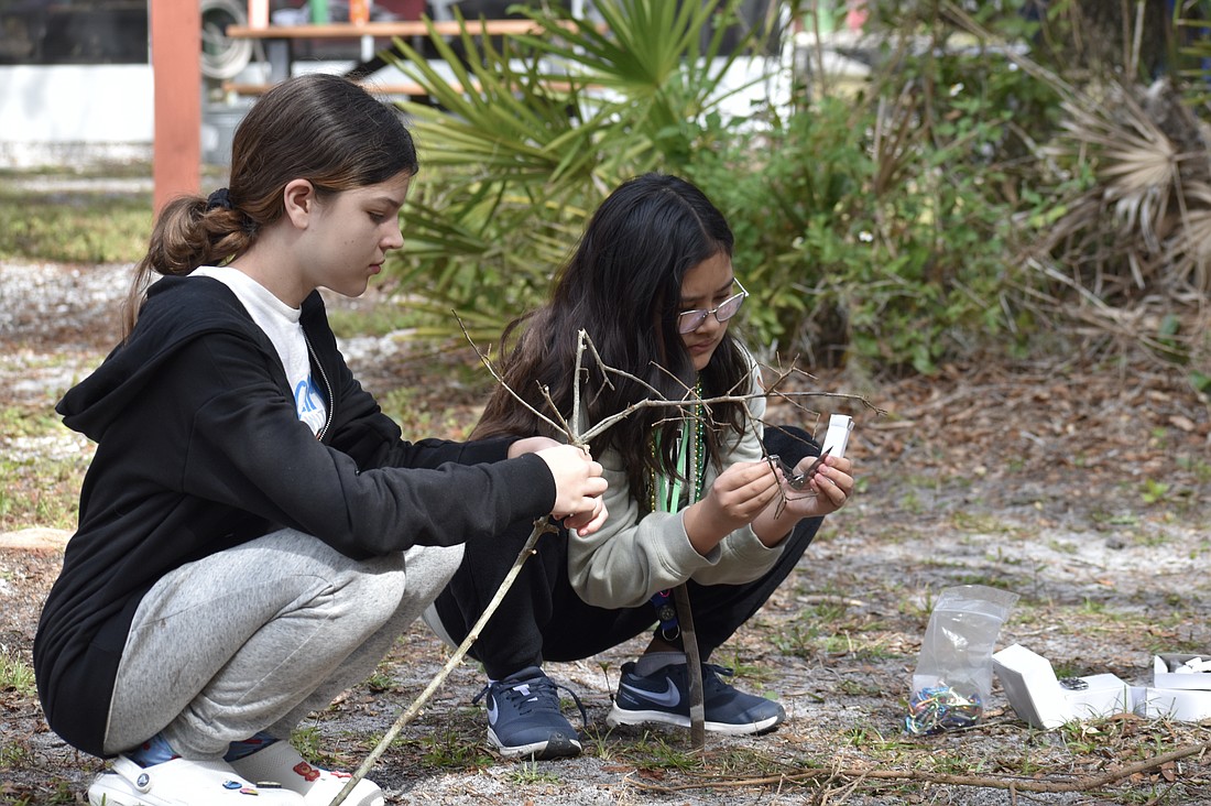 Lakewood Ranch 12-year-old Polly Jessup and Bradenton 12-year-old Valerie Dearda learn survival lessons.
