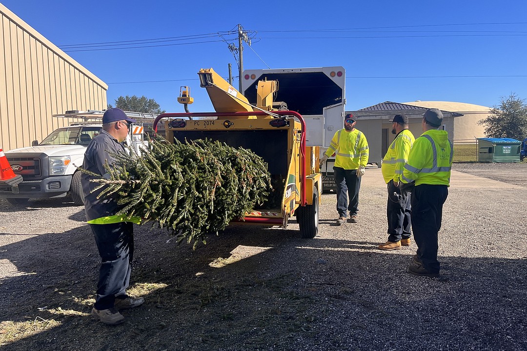 Palm Coast residents recycle 167 Christmas trees Observer Local News