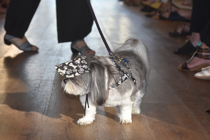Zooey shows off her matching leash and hat.