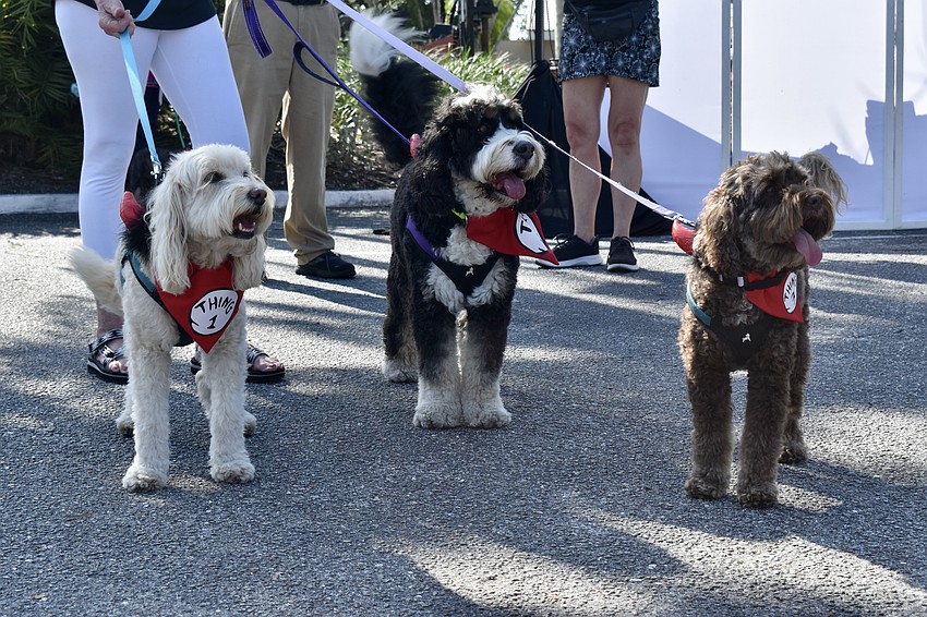 Hanna, Abby and Emma wait their turn.