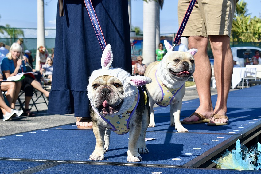 Buddies Henry and Oliver play bunnies for the day.