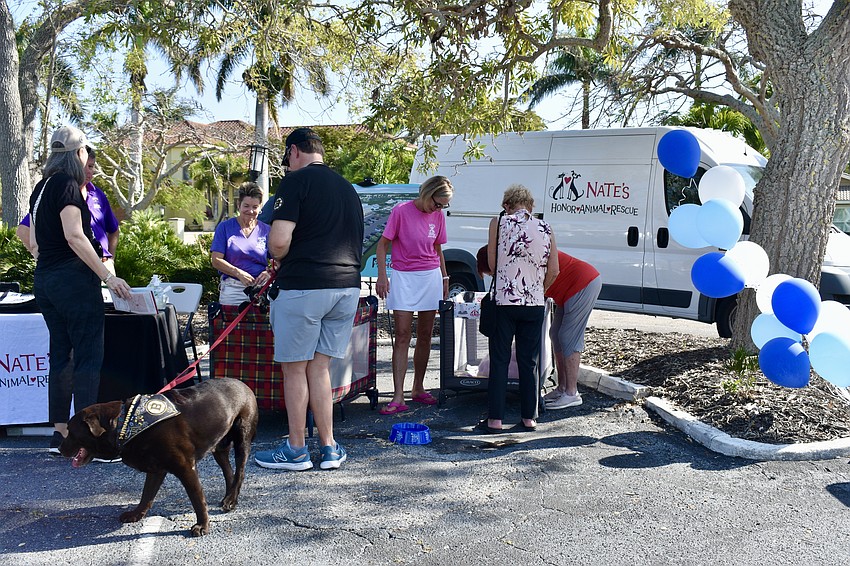 Nate's Honor Animal Rescue has puppies in portable cribs.