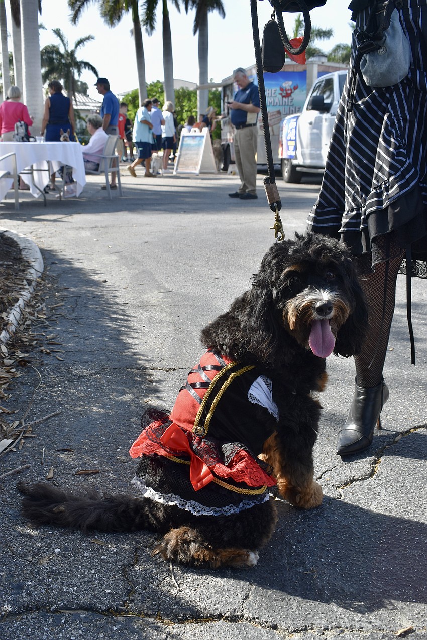 Izzy is wearing a pirate costume that was handmade and bought on Etsy.